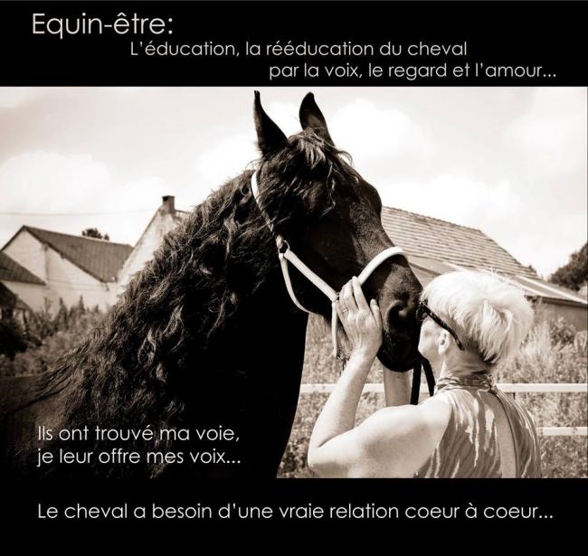 Week End Du Cheval